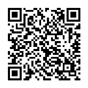 也许心底那突然对家乡的思恋多少还是影响到了他二维码生成