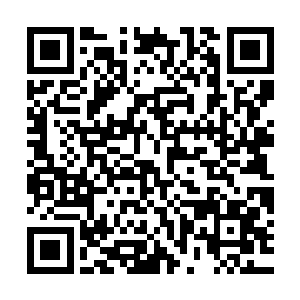 也许成为华夏守护者的好处对其他新晋的七品传奇宗师有些诱惑二维码生成