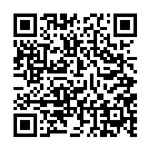 也许我们的史密斯导演会因为警匪片的失败而一蹶不振了二维码生成