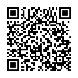 也许我们真的能见到一部商业大片拿到奥斯卡最佳电影呢二维码生成