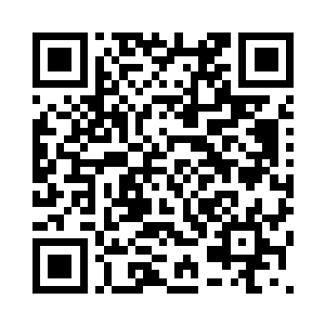 也许我们还要过一段时间才能见面二维码生成