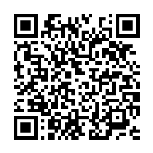 也许我可以把你的孩子和情人都给带到你的面前来二维码生成