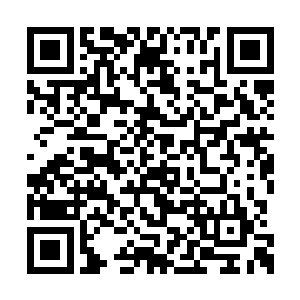 也许战友们在将来可以体验到极品女仙的特效了二维码生成