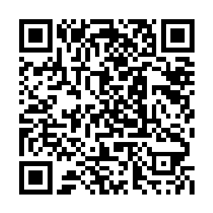 也许敌人也料到了今天晚上毒龙会可能会有行动二维码生成
