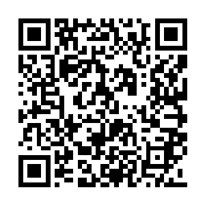 也许是二品丹药所需要的材料品阶比较高的缘故二维码生成