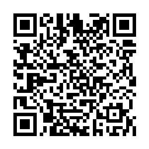 也许是从安德健或者夏力行那里知晓了一些什么二维码生成