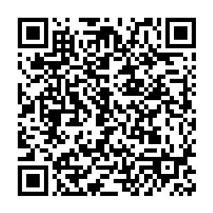 也许是因为从众心理的本能在操纵着我――但那些压力我可以学着应付二维码生成