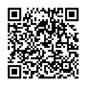 也许是因为刚才的那个小女孩的天真可爱的话语二维码生成