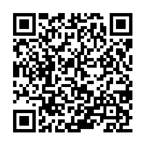 也许是因为这东西距离她的财富值过于遥远了吧二维码生成