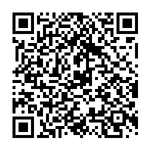 也许有些机场可能都不会允许这架没有编号没有徽标的莫名其妙客机降落吧二维码生成