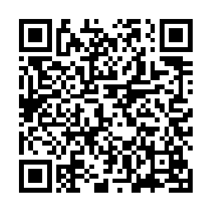 也许有人会说可以查看这具尸体上面的细小特征来验证二维码生成