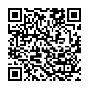 也许正是血脉相连的影响……顾锦荣的声音平静了一些二维码生成