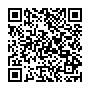 也许此时此刻在他们的世界里已经只有兰花的存在了二维码生成