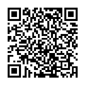 也许汉斯他们把几个拿着枪的乱民当成了叛军正规军了二维码生成