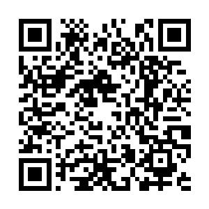 也许爱情真的会发生在彼此互不相识的陌生人之间二维码生成