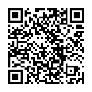 也许真的是那个能够和自家主子牵手走一辈子的人二维码生成