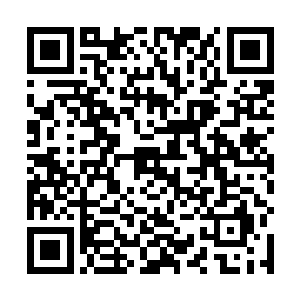 也许稍微健全点的早就被吸引到刚才的战斗中被击杀了二维码生成