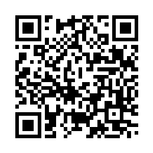 也许终其一生也从未见过钻石的好二维码生成