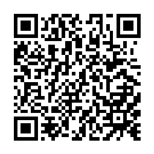 也许自己真需要和沈子烈单对单的好生交换一下意见二维码生成