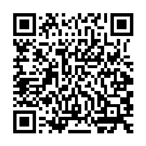 也许这个时候金皇正在抓紧机会完全泯灭掉那些无足轻重的因果二维码生成