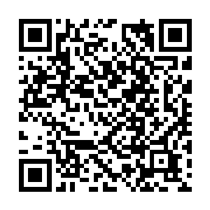 也许这也是魏厨子为什么说他死了的另一个原因吧二维码生成