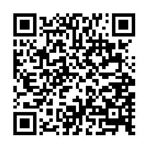 也许魔宫会因为她对魔煞力超乎寻常的吸收能力而看重无比二维码生成