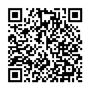 也证明了史蒂文不仅能够作为一名商业导演赢得观众的心二维码生成