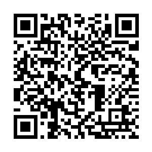 也说明你拥有最强大的意志力和对联邦最深沉的热爱二维码生成