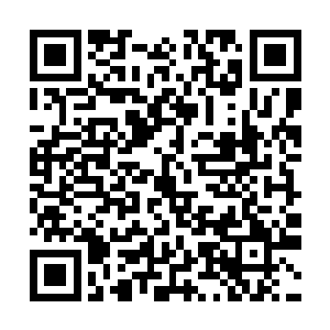 也赶不上华锐制药厂的规模以80年代医药产业的迅勐发展二维码生成