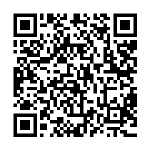 也足以让炽焰金刚兽能够爆发出堪比寻常大圣域九重天的威力二维码生成