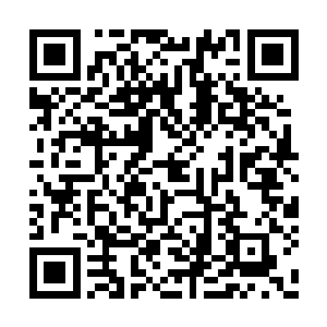 也足够你们和你的弟兄们舒舒服服过完下半辈子二维码生成