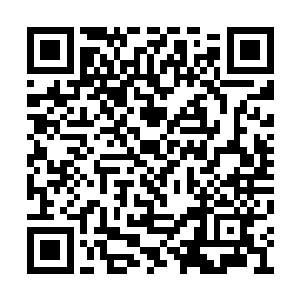 也跟着马上掏出电话给市公安局局长拨去了电话二维码生成