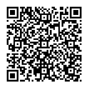 也迅速引起这个海关附近百余艘妖船中还有海岸线周围密密麻麻的妖族们的注意力二维码生成