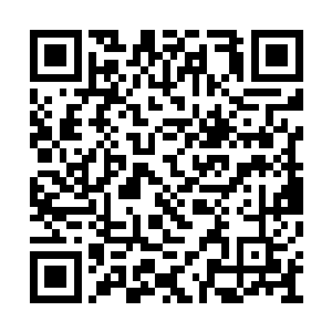 也连忙赶紧的扶起那几个倒霉的最先出脚的家伙二维码生成