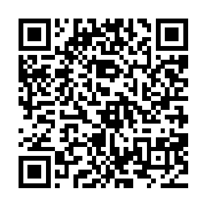也都是东南亚一带的一些武林豪门家族或是门派中的杰出俊杰二维码生成