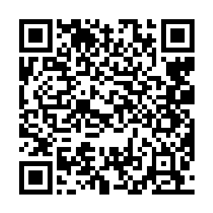 也都认为苗毅惧于嬴天王的面子手下留情的可能性很大二维码生成