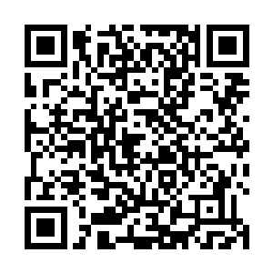 也除了极少数几个人知道唐家曾丢失的一个孩子找到了二维码生成