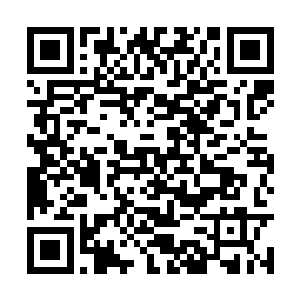 也险险相信眼前将要发生歹人强抢良家民女的案件二维码生成