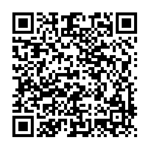 也隐隐约约记得是眼前的这个人类将它从暗无天日的古墓当中接出来的二维码生成