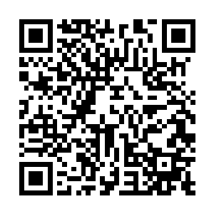 也难怪到了这个时候阿达曼都不忘记再向张东城询问一番二维码生成