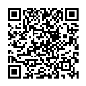 也难怪左边坐着的官员听到有人在暗中帮助他们以后二维码生成
