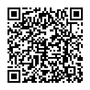 也难怪有很多书友会说要等到以后儿子的儿子给在坟前烧纸看结局二维码生成