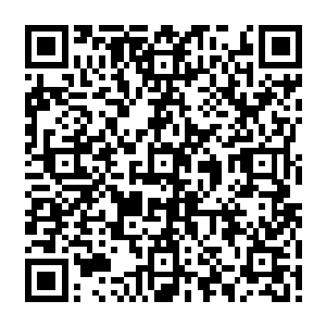 也难怪秦老馆主会有如此反应了……他虽然希望自己的子孙里面再走出几个宗师级二维码生成