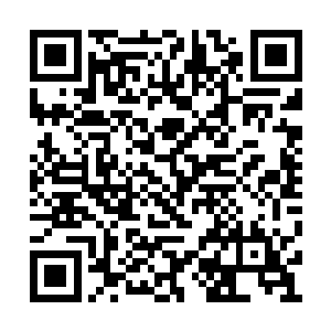 也难怪这左右掌峰会准备把两个少门主捧起来了二维码生成