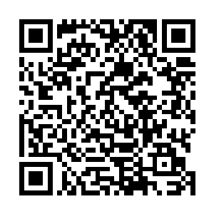 也需要自然之叶来学习变形术或者提升自己变形术的等级二维码生成