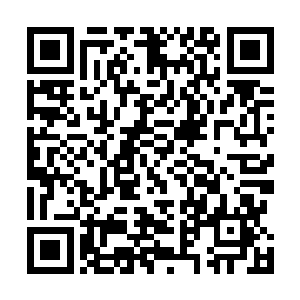 也需要远古地精的血脉才能完全开启机械泰坦的所有模块二维码生成