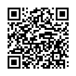 也顾不得自己离厉倾城还有很远的距离二维码生成