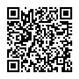 也顿时让这野蛮牛王成为了懒惰手中最强的力量二维码生成