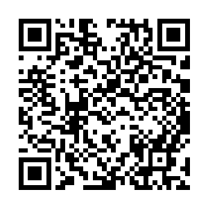 也颇有些狠辣倒是符合这些海盗暗地里杀人越货的本性二维码生成
