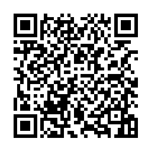 习惯了在徐凤年怀里意味着入睡的小姑娘松开冰凉瓷枕二维码生成